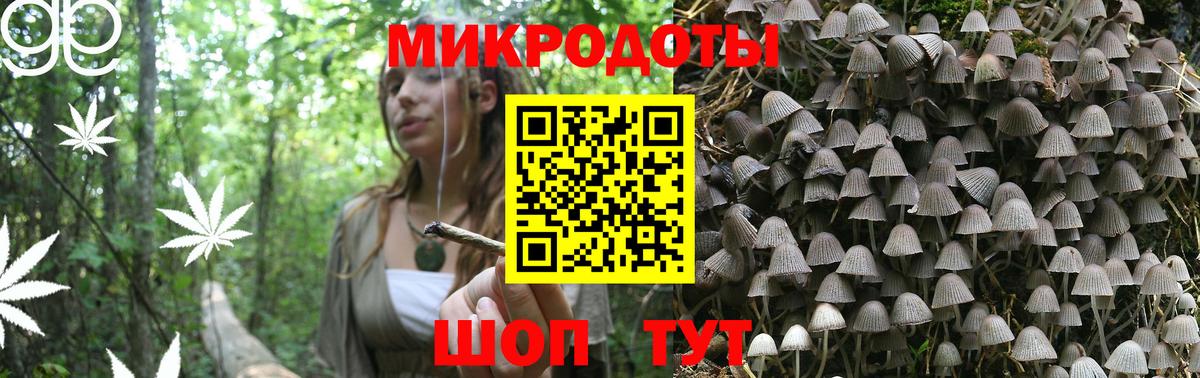 Галлюциногенные грибы мухоморы Югорск
