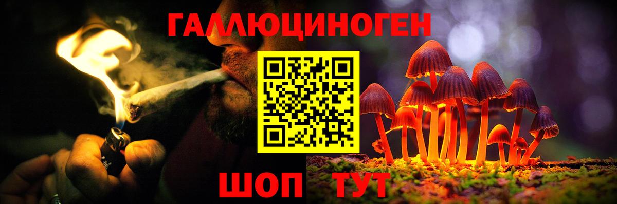 Югорск  Псилоцибиновые грибы Magic Shrooms  Вход с VPN 
